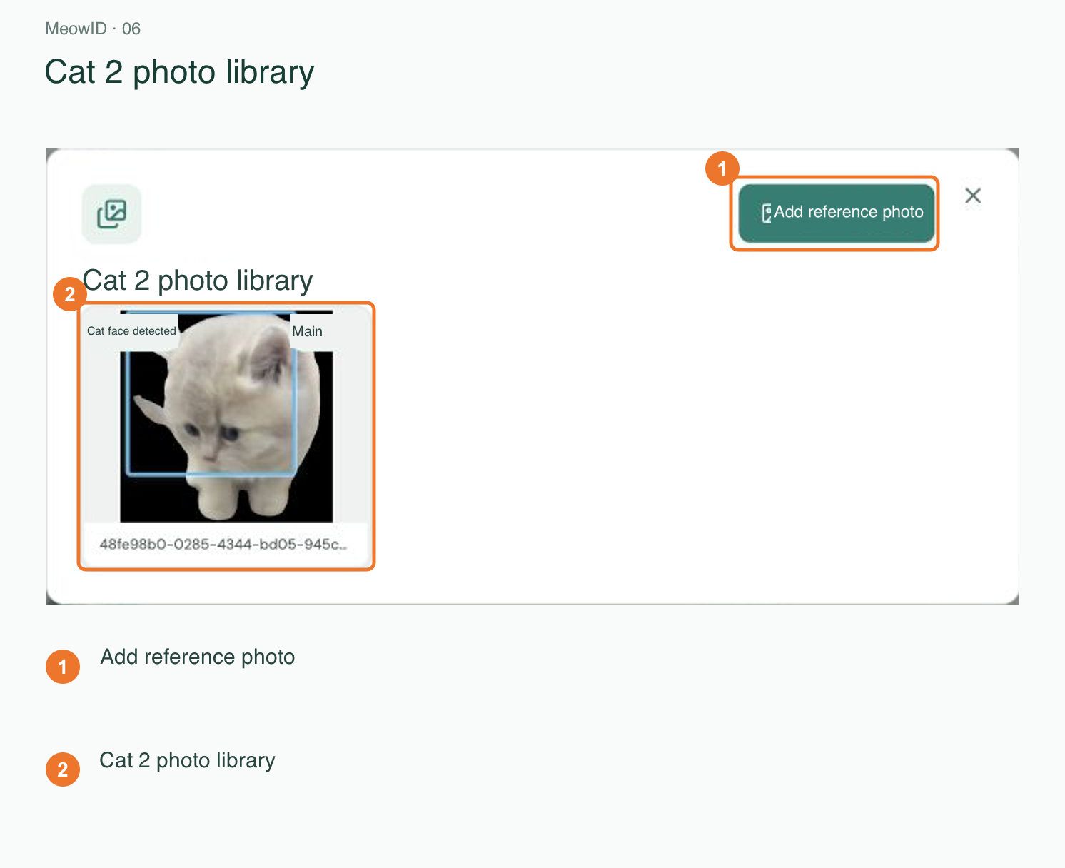 6. Open the photo library