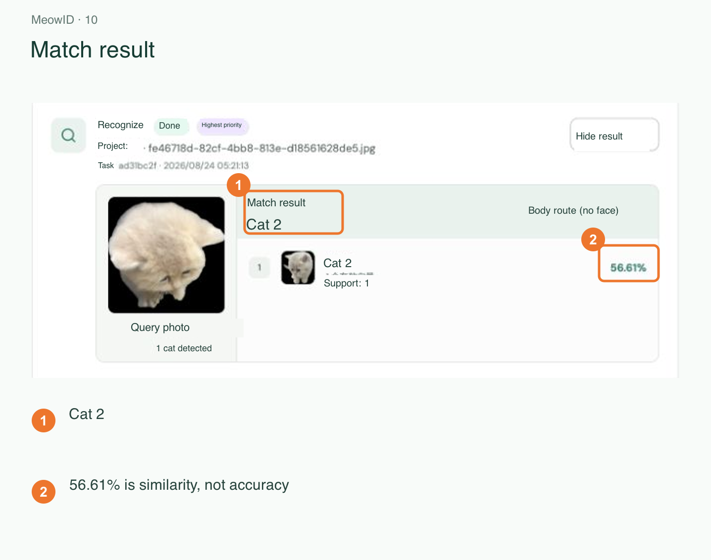 10. Example recognition result from a historical task